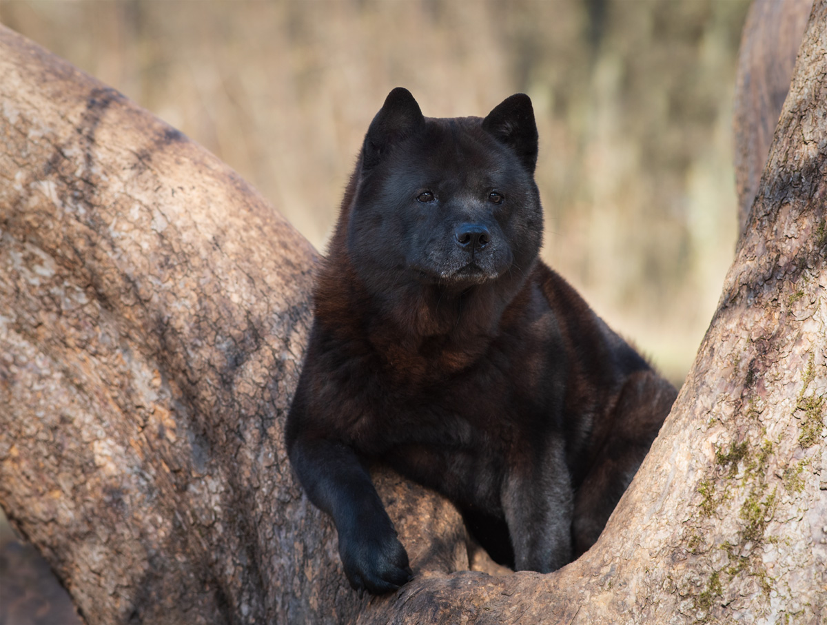 uligraphie_DSC_9519.jpg