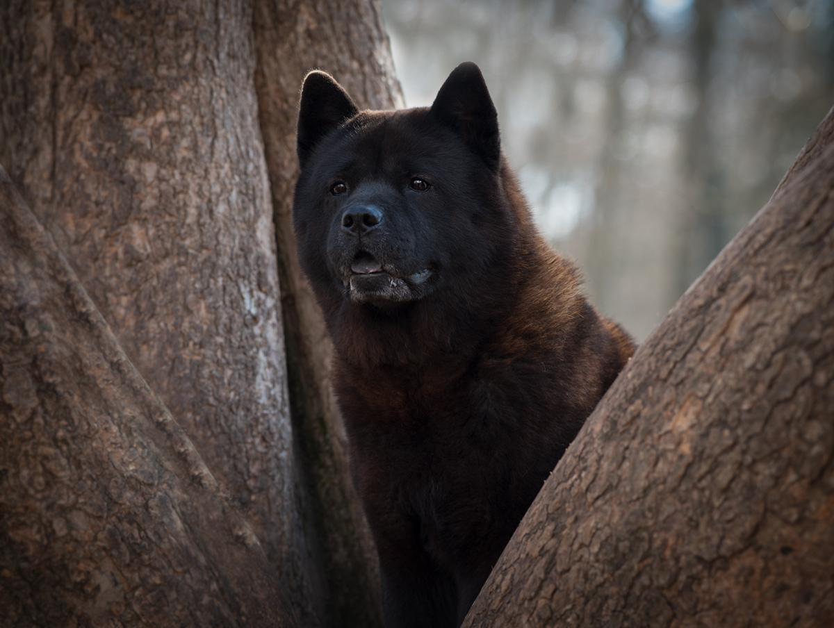 uligraphie_DSC_9580.jpg