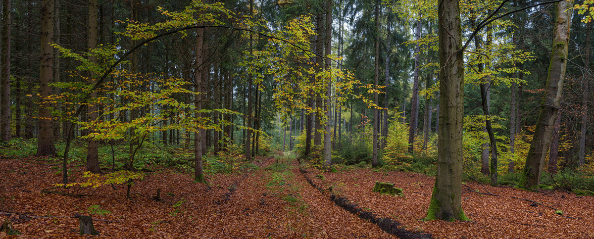 Unbenanntes_Panorama3a.jpg