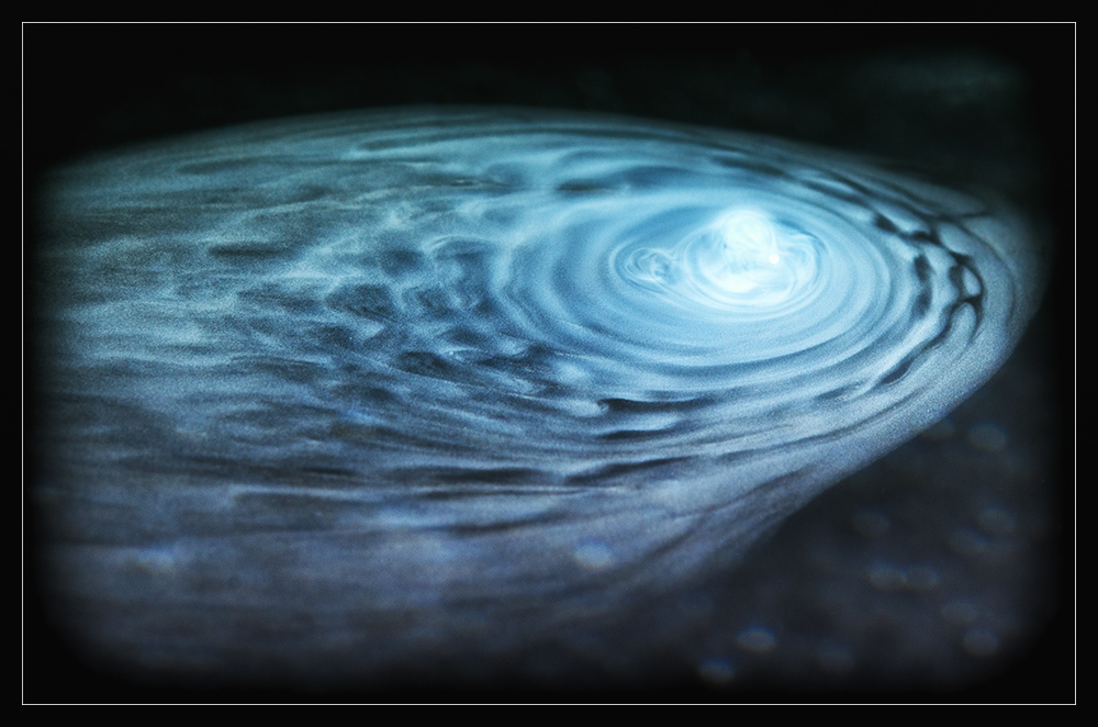 Universum5