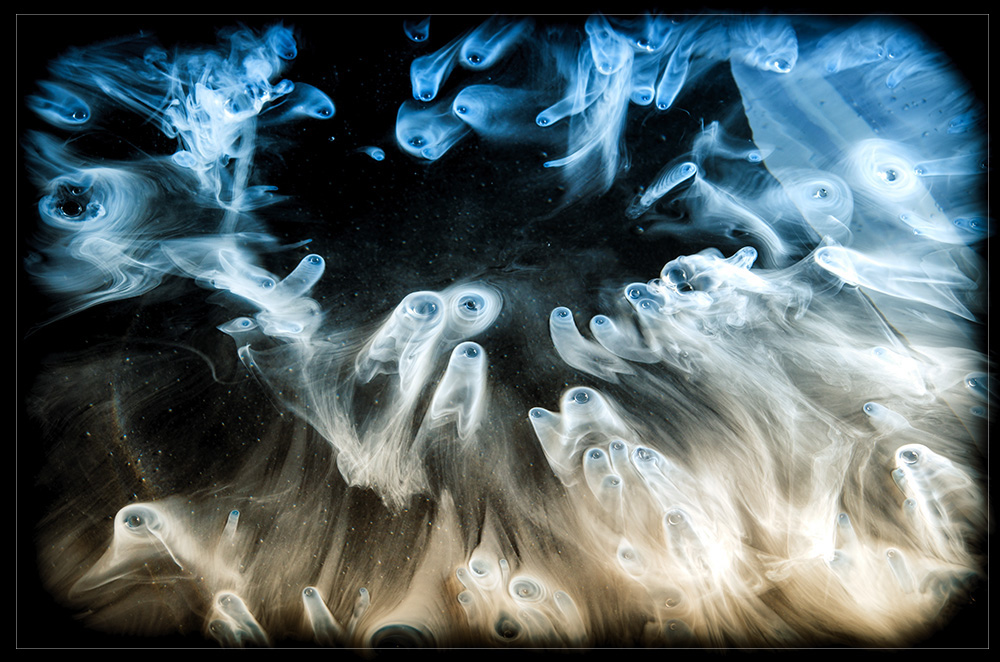 Universum5