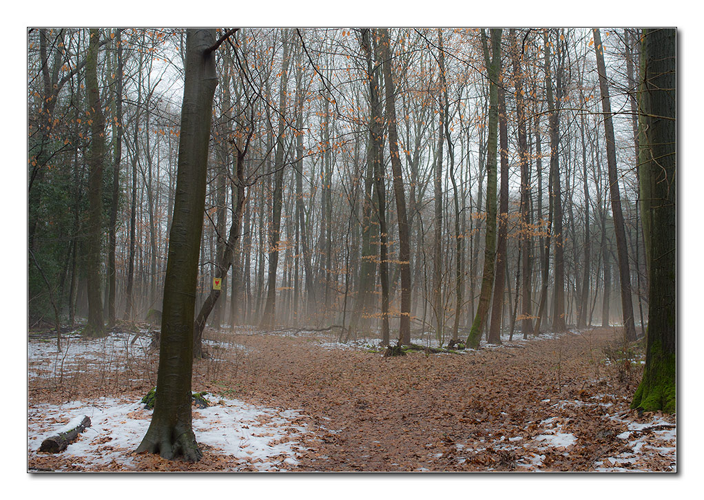 unklar