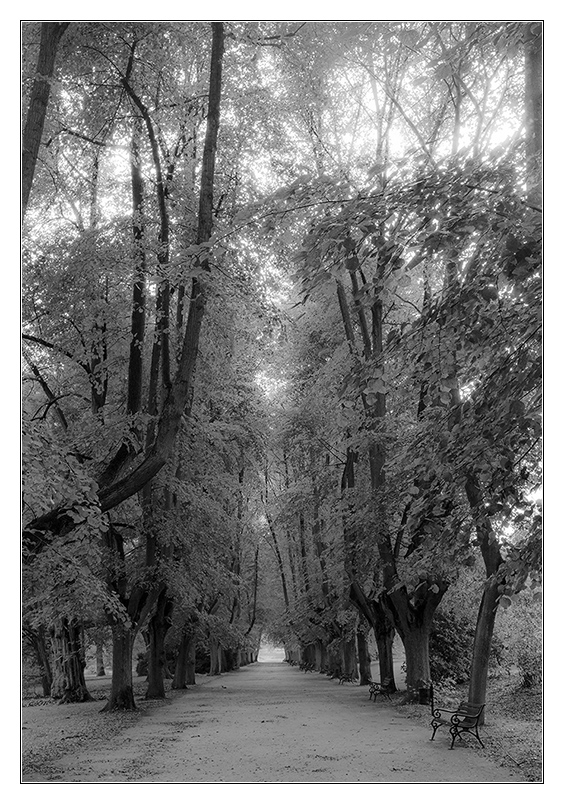 unscharfer SW Herbst