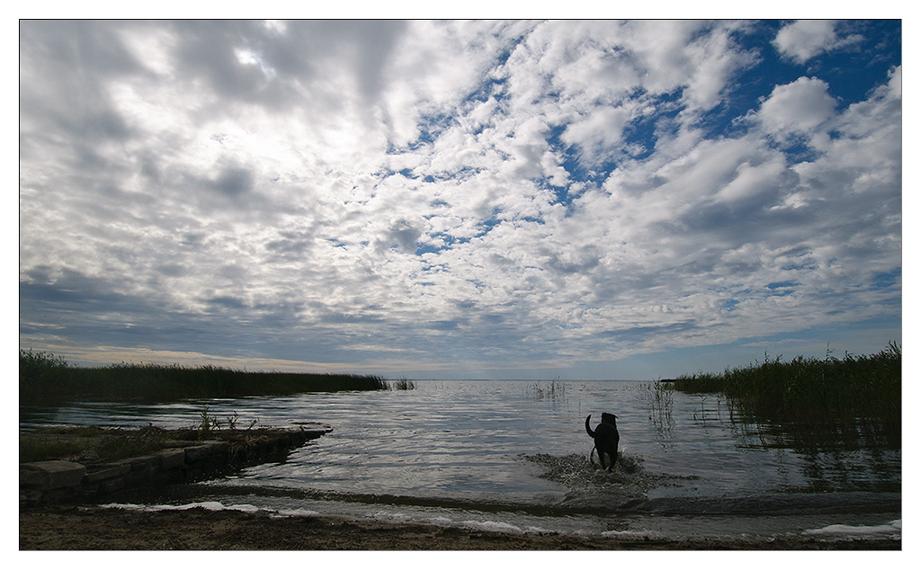 unsere bucht 10