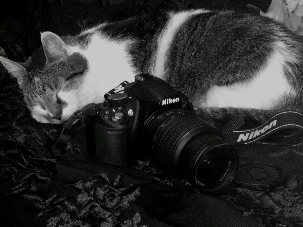 Unsere Nikon D3100