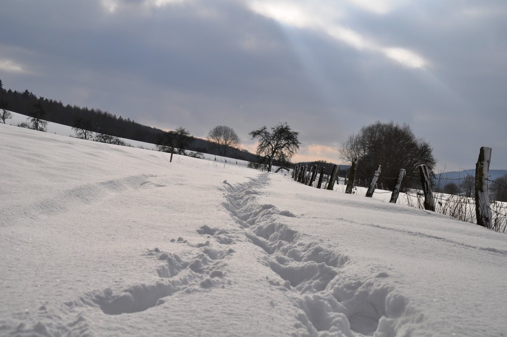 Unsere Spuren durch die Natur