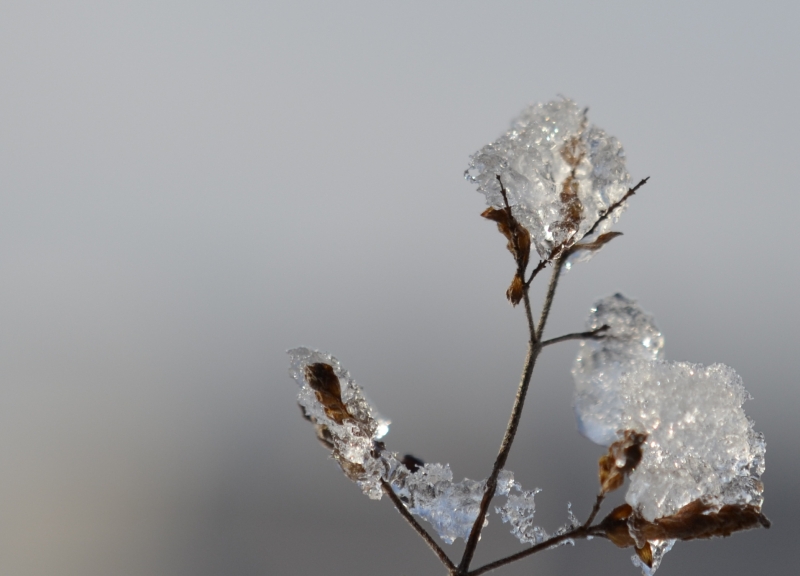 unter Eis