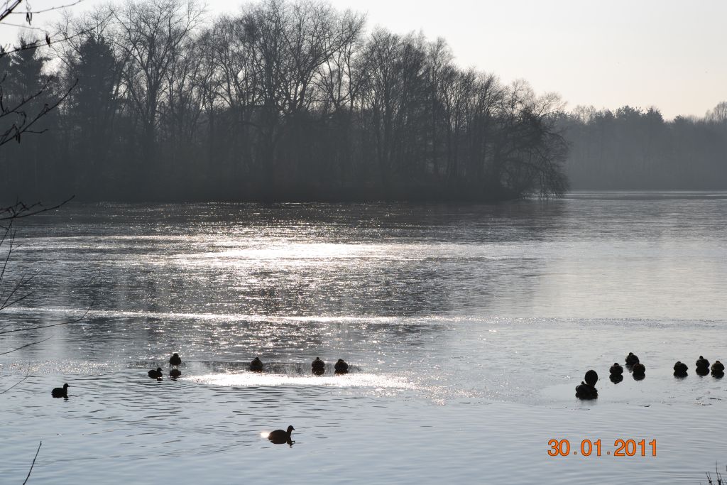 Unterbacher See 032 01