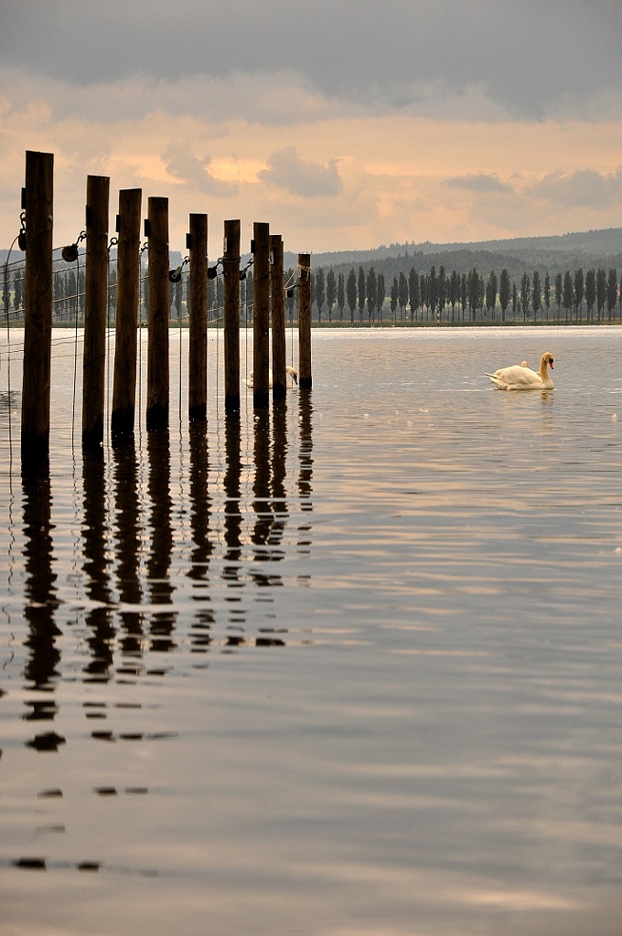 Untersee