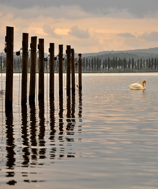 Untersee