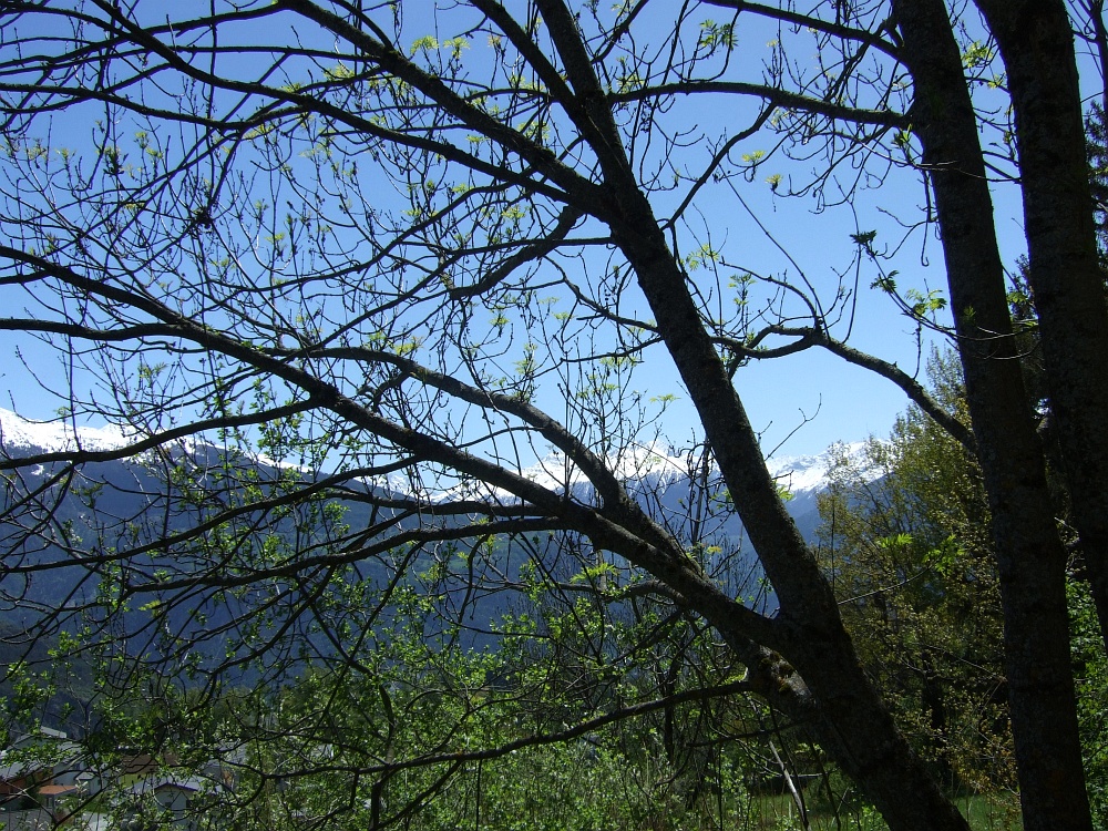Unterwegs in der Natur