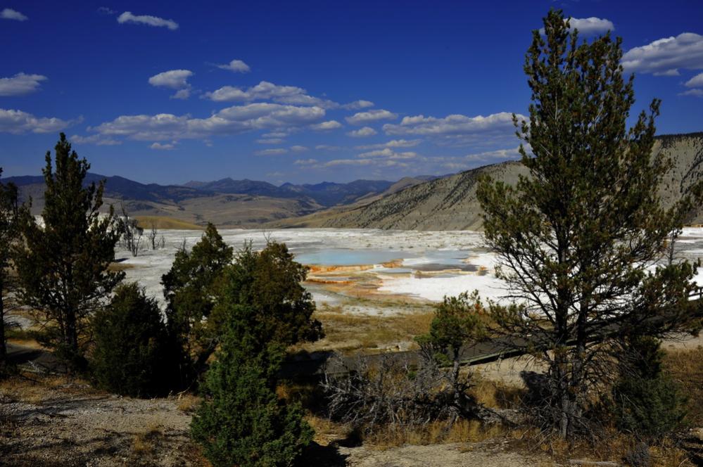 Upper Basin 1
