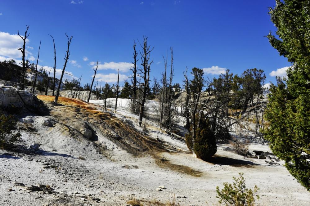 Upper Basin 3