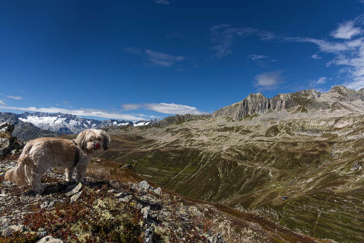 Urlaub2024-8.jpg