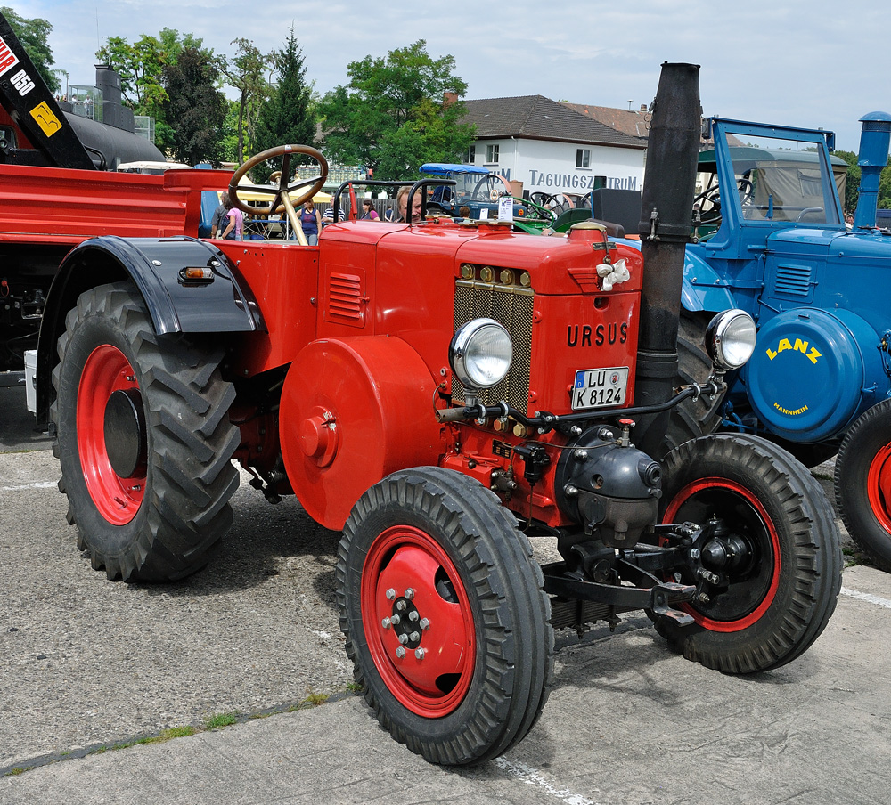 Ursus [DSC_7138]