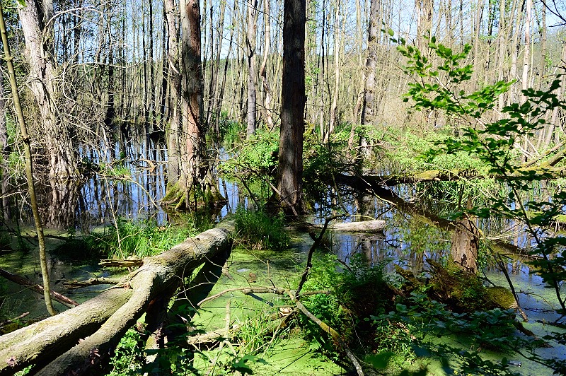 Usedom 001