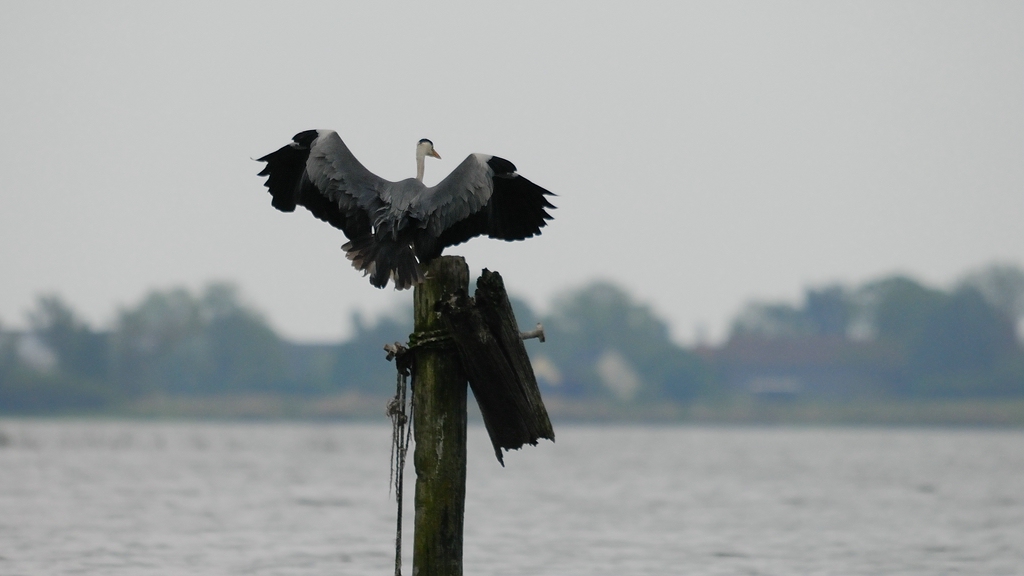 Usedom DSC 3202