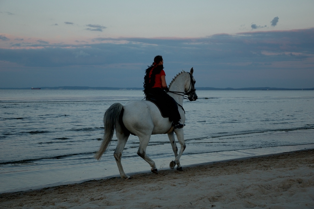 Usedom DSC 4613