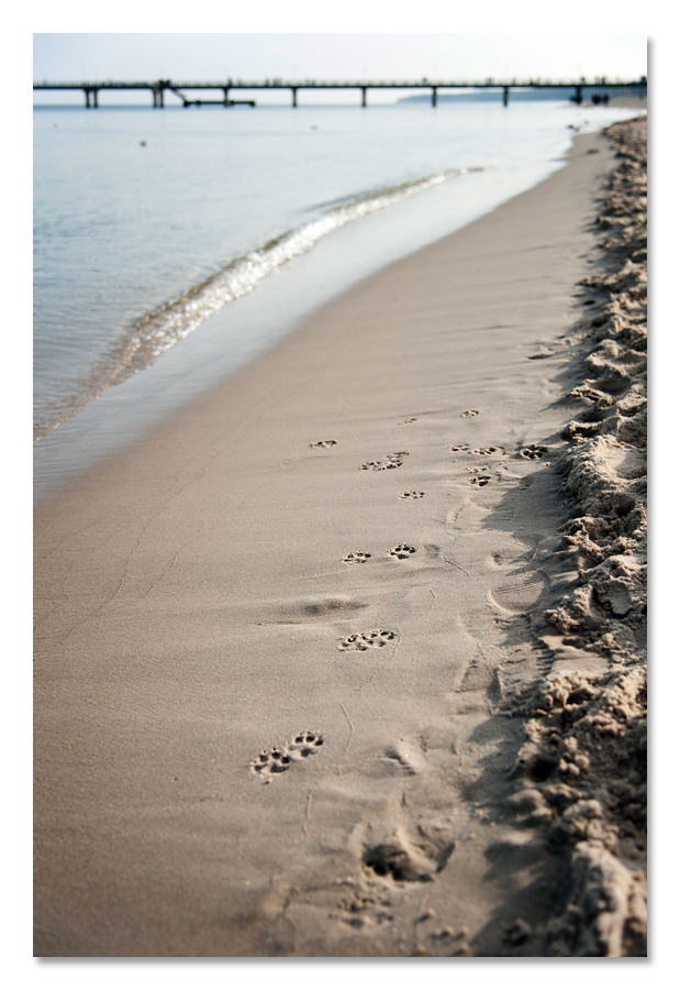 usedom3
