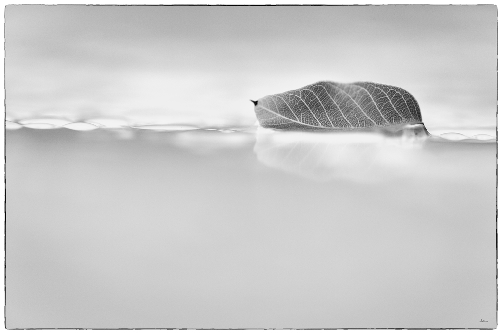 user594 pic57428 1371991136