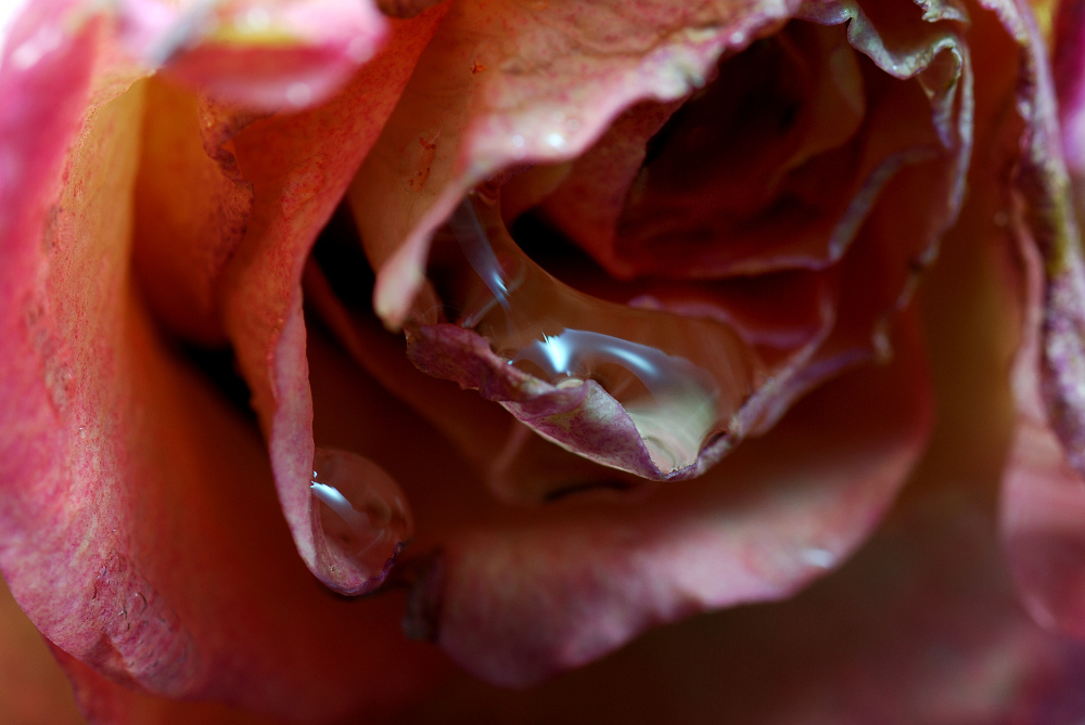 user817 pic642 1226177511