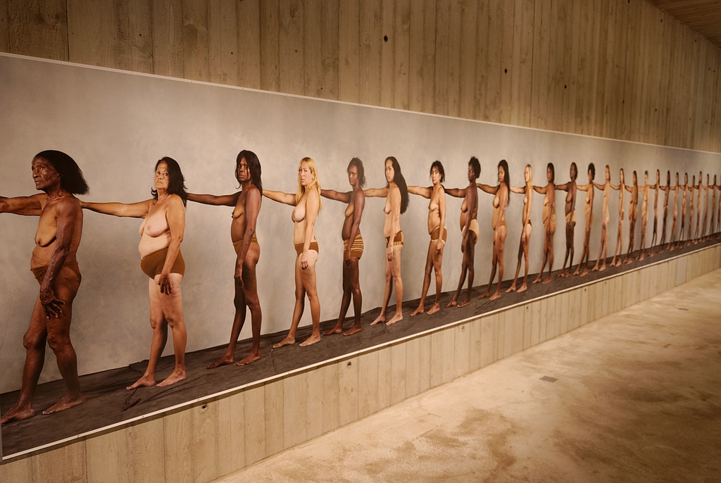 Utopia II
The Line - Enrique Rottenberg