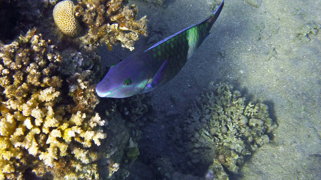 uw 03