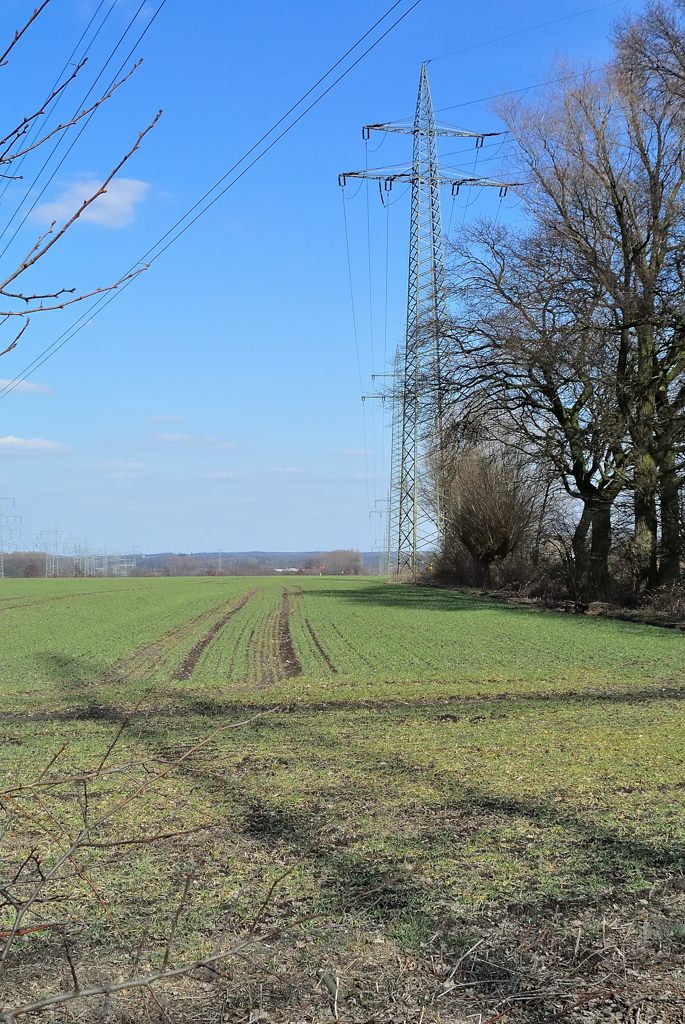V1 mit AF-S 18-200mm (DSC 0441cnxX)