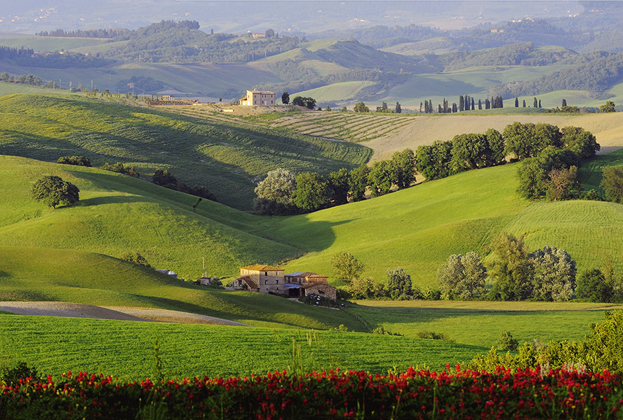 Val D'Orcia