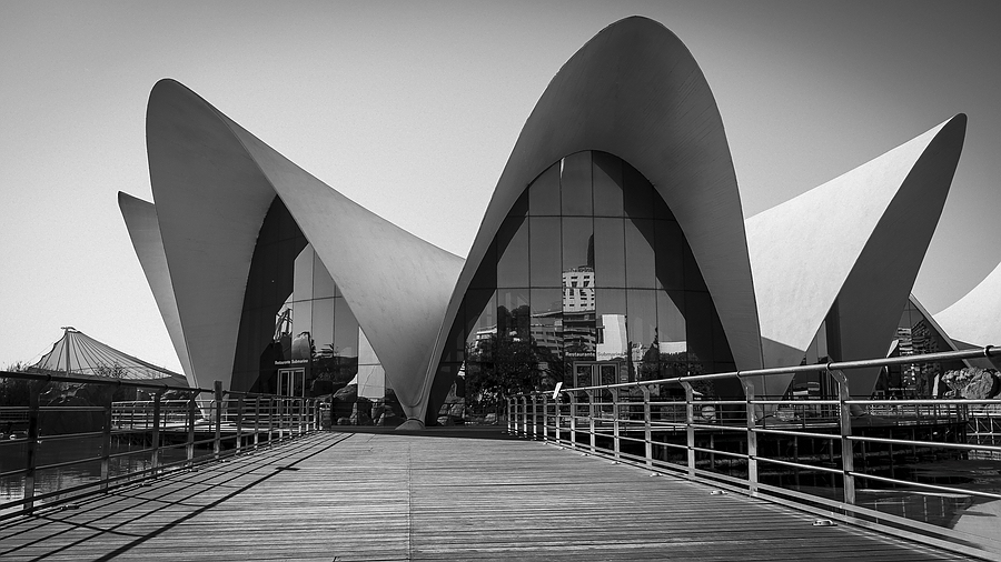 Valencia L Óceanogràfic