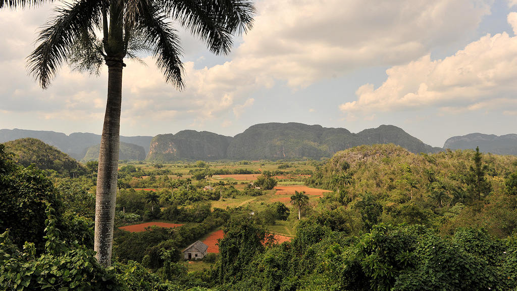 Valle de Vinales 6368