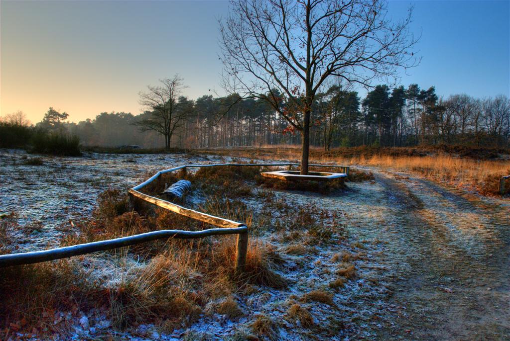 Vareler Heide Dezember 2008 als HDR Foto asu 3 Bildern