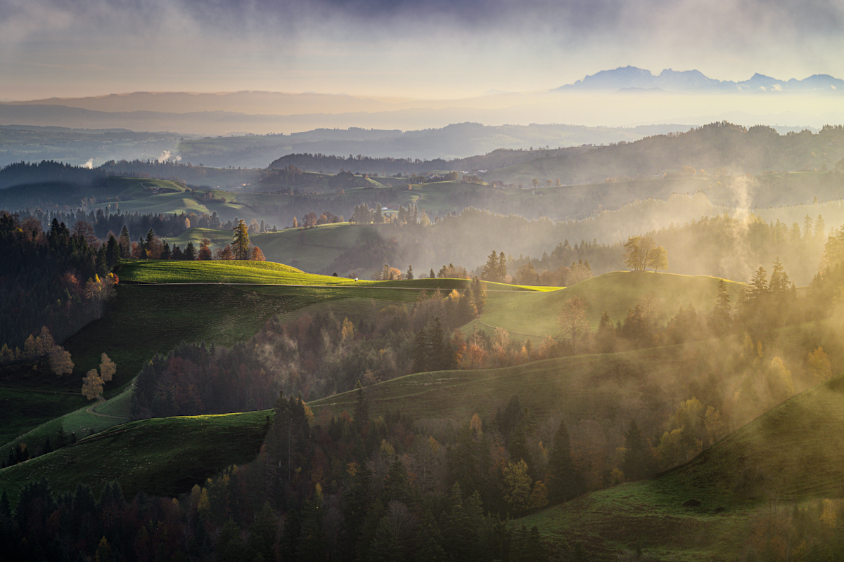 Variante_DZ89134 (2).jpg