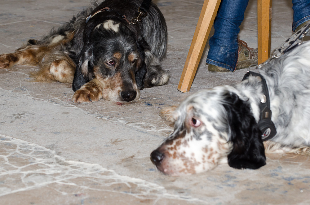 Vater &amp; Sohn 2