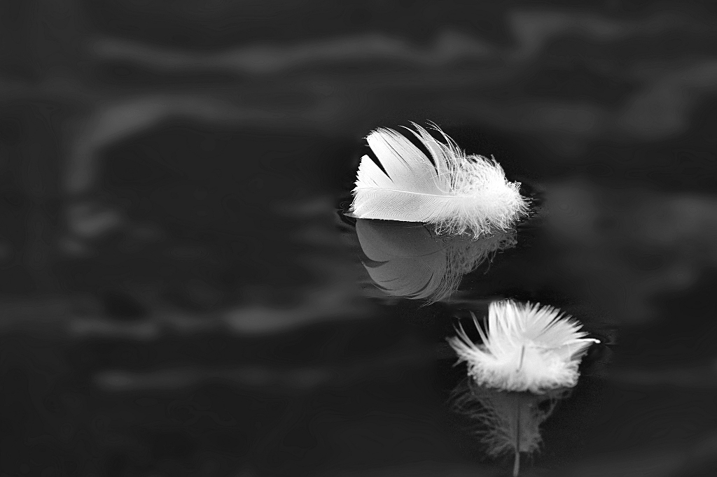 veertjes bw