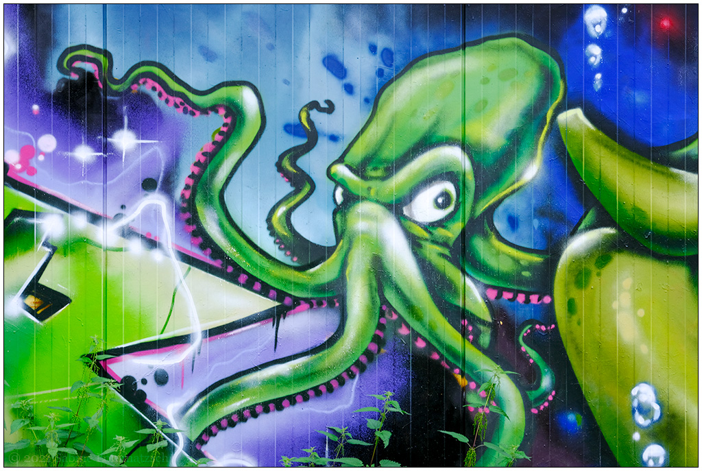 Velogalerie Kiel – Krake mit bösem Blick