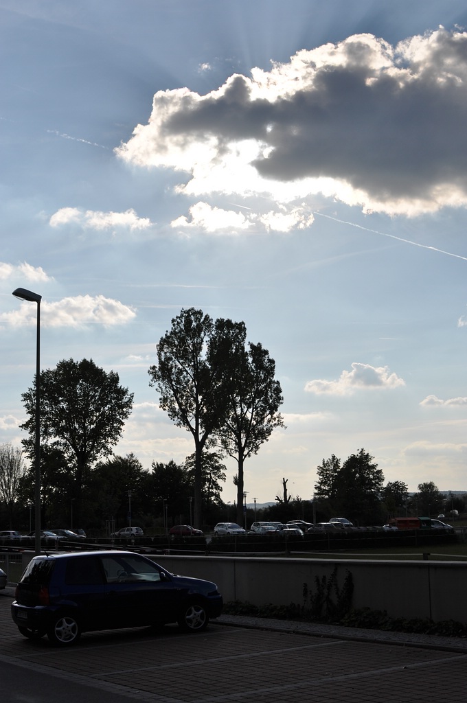 velviacurve DSC 0169