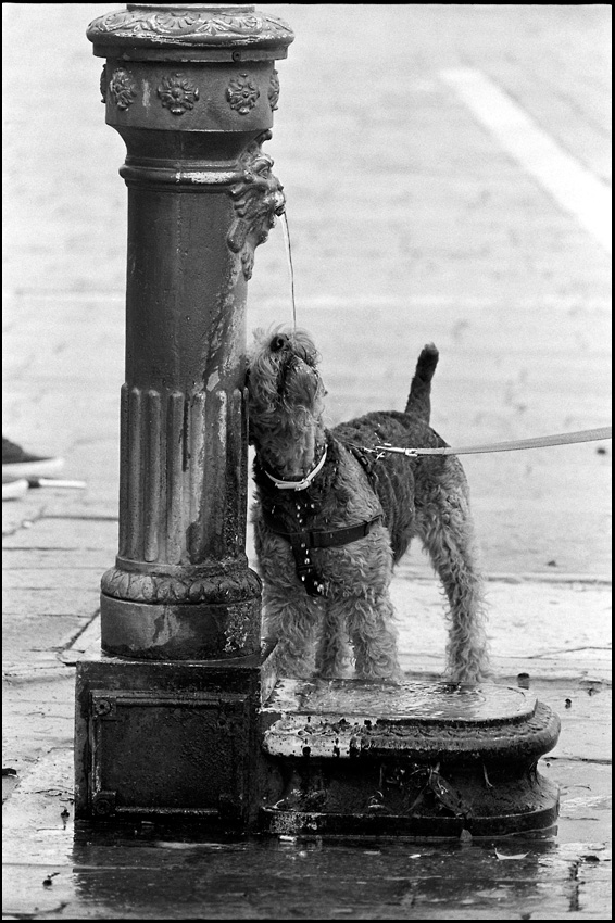 Venedig 11 2010 74