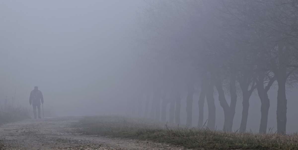 Verloren im Nebel
