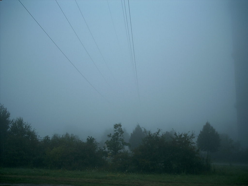 Verschwindet im Nebel