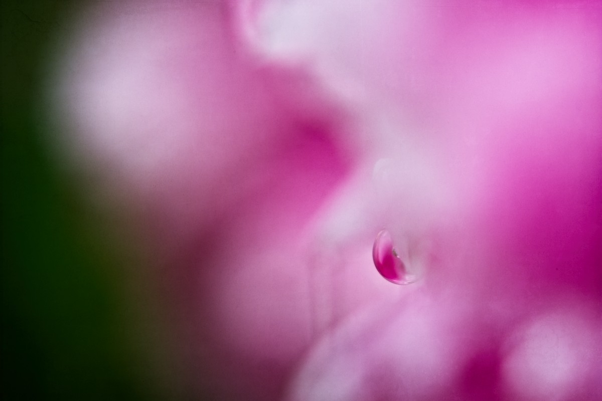 VG5_0360_on1_1000.jpg