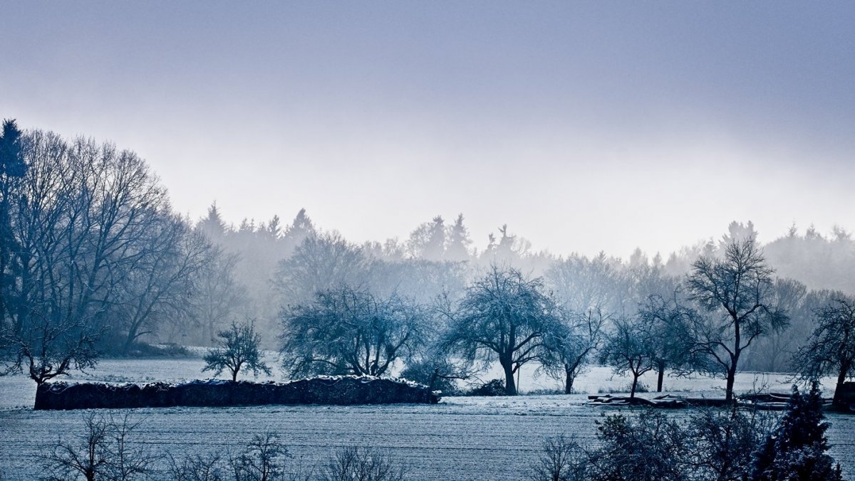 VG5_6247_on1_nc_landscape.jpg