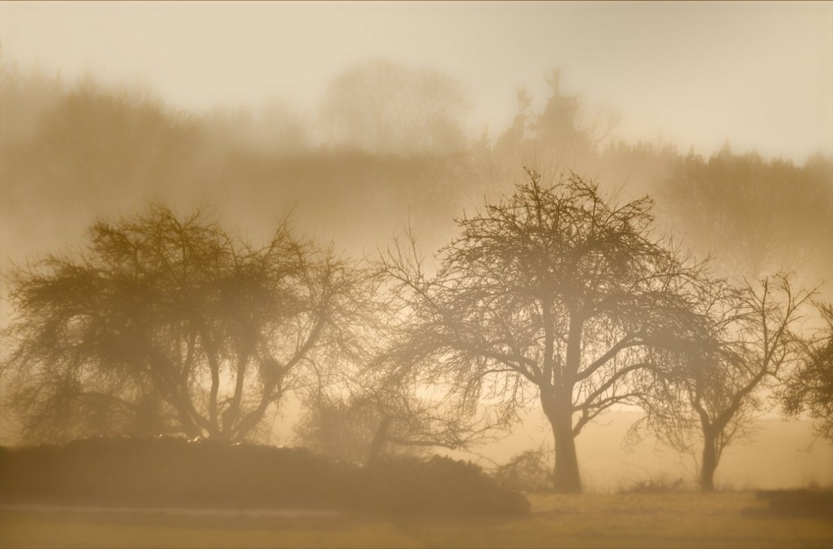 VG5_7099_on1_nc_landscape.jpg
