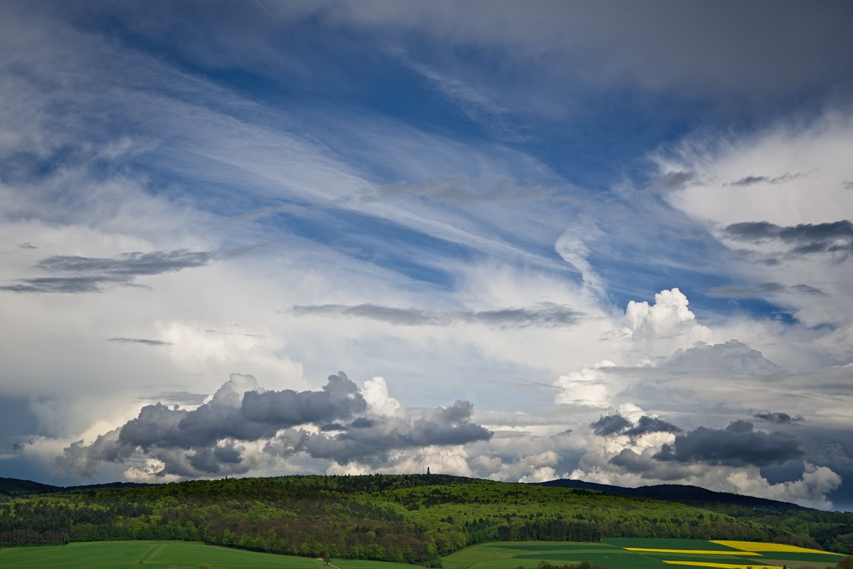 VG8_0517_on1_1000.jpg
