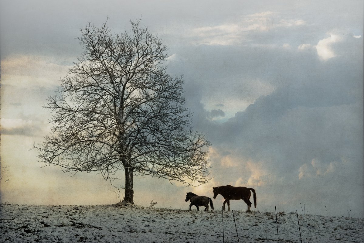 VG8_6321v1_on1_nc_landscape.jpg