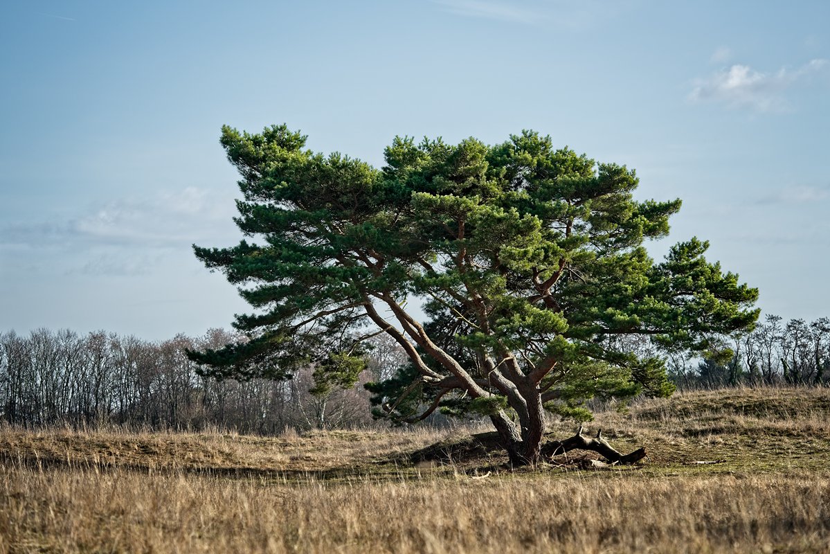 VG8_7259_on1_nc_landscape.jpg