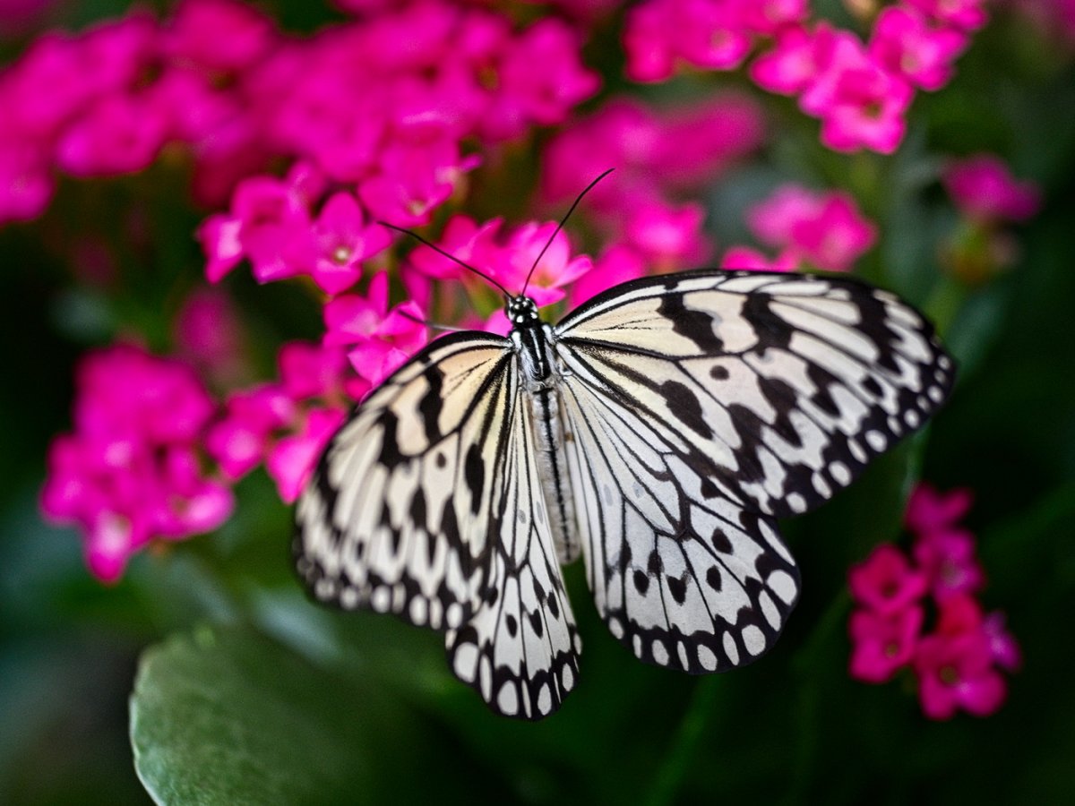 VG_850_1501_on1_1400.jpg