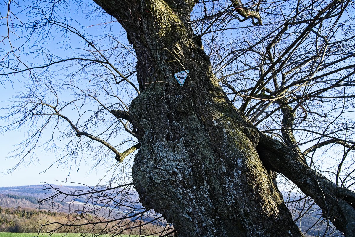 VG_850_7480on1_nc_landscape.jpg