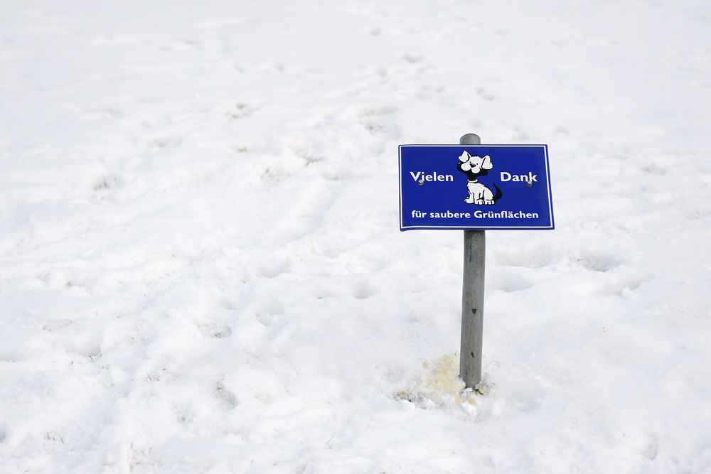 Vielen Dank