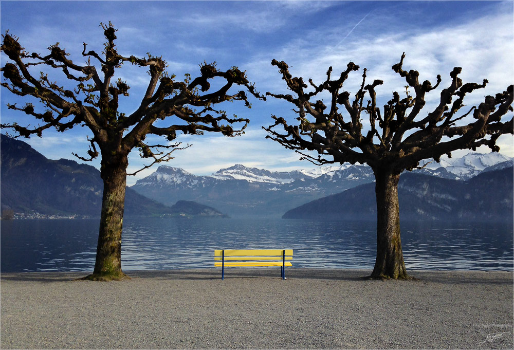 Vierwaldstätter See NFF